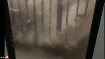 اخبار اليمن الان الكأس الأحمر الطبيعة اللبنانية الشتاء اخبار اليمن الان الحدث اليوم عاجل