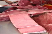 اخبار اليمن الان الحدث اليوم عاجل عرب تايم