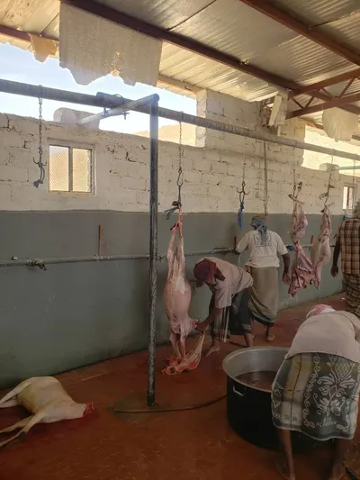 اخبار اليمن الان الحدث اليوم عاجل 