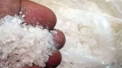 اخبار اليمن الان إحباط عملية تهريب بمحافظة المهرة اخبار اليمن الان الحدث اليوم عاجل