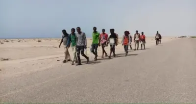 اخبار اليمن الان المهاجرين الأفارقة للإقصاء بالتغيير الديموغرافي اخبار اليمن الان الحدث اليوم عاجل