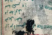 اخبار اليمن الان الحدث اليوم عاجل صدى الساحل