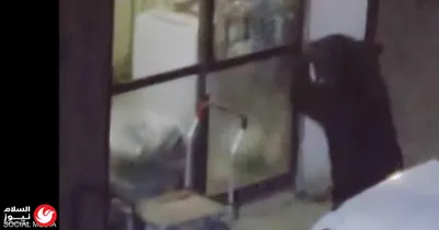اخبار اليمن الان حرائق الكويت طائرات مسيرة إيرانية اخبار اليمن الان الحدث اليوم عاجل