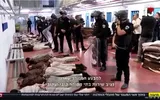 وكالة الصحافة اليمنية اخبار اليمن الان تقرير شهادات الأسرى الفلسطينيين الاحتلال اخبار اليمن الان الحدث اليوم عاجل وكالة الصحافة اليمنية