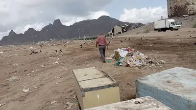 اخبار اليمن الان يحدث واسعة لتنظيف الأسماك البريقة اخبار اليمن الان الحدث اليوم عاجل