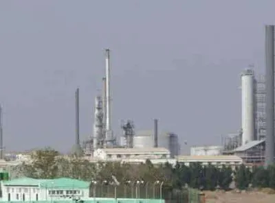 اخبار اليمن الان دعوات لزراعة الجزر الوسطية البريقة اخبار اليمن الان الحدث اليوم عاجل