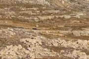 صحيفة الثورة صنعاء اخبار اليمن الان مستوطن صهيوني اعتدائه الفلسطينيين بالقدس اخبار اليمن الان الحدث اليوم عاجل صحيفة الثورة صنعاء