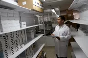 اخبار اليمن الان الحدث اليوم عاجل وكالة الصحافة اليمنية