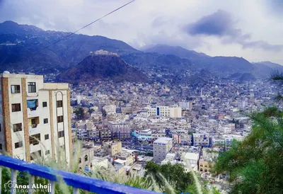 اخبار اليمن الان كبيرة مغترب ووفاة ابنته الخبر اخبار اليمن الان الحدث اليوم عاجل