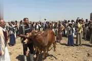 صحيفة الثورة صنعاء اخبار اليمن الان صلح قبلي ينهي قضية عمران اخبار اليمن الان الحدث اليوم عاجل صحيفة الثورة صنعاء