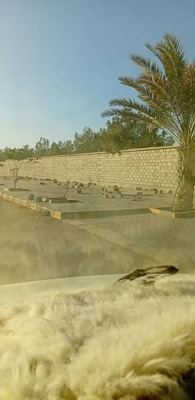 اخبار اليمن الان رفع خيام المعتصمين اخبار اليمن الان الحدث اليوم عاجل