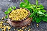 اخبار اليمن الان الحدث اليوم عاجل عدن تايم