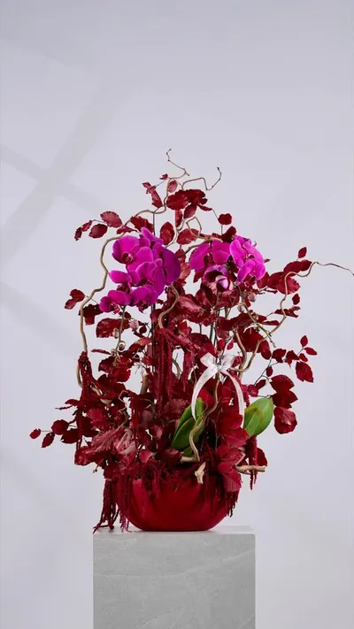 اخبار اليمن الان flower society تستقبل الخريف مستوحاة اخبار اليمن الان الحدث اليوم عاجل