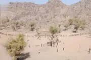 صحيفة الثورة صنعاء اخبار اليمن الان مسيران ومناورتان لقوات التعبئة العدين اخبار اليمن الان الحدث اليوم عاجل صحيفة الثورة صنعاء