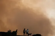 السلام نيوز اخبار اليمن الان أوروبا الغابات السيطرة الآلاف النزوح اخبار اليمن الان الحدث اليوم عاجل السلام نيوز