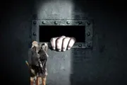 اخبار اليمن الان الحدث اليوم عاجل صدى الساحل