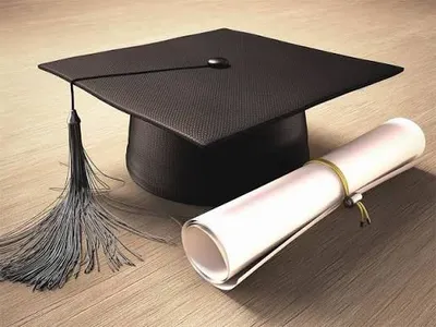 اخبار اليمن الان احتفالات والاستعراض الأخصائية النفسية الحميدان اخبار اليمن الان الحدث اليوم عاجل
