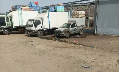 اخبار اليمن الان حكومي الأسماك استياء المواطنين والباعة اخبار اليمن الان الحدث اليوم عاجل