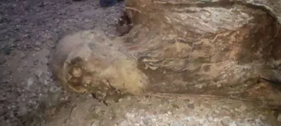 اخبار اليمن الان العثور هيكل مومياء بهذه المحافظة اخبار اليمن الان الحدث اليوم عاجل