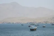 اخبار اليمن الان الحدث اليوم عاجل فرانس 24