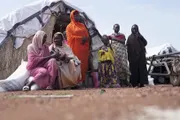 السلام نيوز اخبار اليمن الان إنسانية الأزرق النازحين المدارس التعليم اخبار اليمن الان الحدث اليوم عاجل السلام نيوز