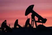 اخبار اليمن الان الحدث اليوم عاجل مارب اليوم