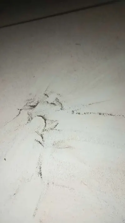 اخبار اليمن الان اثار البركان المنطقة الليلة صورة اخبار اليمن الان الحدث اليوم عاجل