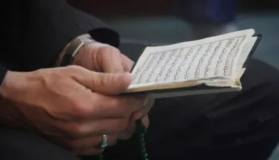 اخبار اليمن الان مجهولون يرسلون محروقة العاصمة السويدية اخبار اليمن الان الحدث اليوم عاجل