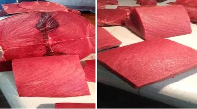 اخبار اليمن الان أسعار الأسماك الأحد بالعاصمة عدن اخبار اليمن الان الحدث اليوم عاجل