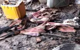 عدن تايم اخبار اليمن الان انفجار اسطوانة دمارا واسعا الضالع اخبار اليمن الان الحدث اليوم عاجل عدن تايم