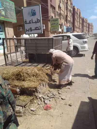 اخبار اليمن الان البريقة للعشوائيات والاستحداثات المخالفة الجديدة اخبار اليمن الان الحدث اليوم عاجل