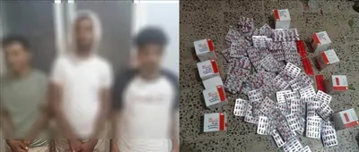 اخبار اليمن الان إنجازات نوعية المديرية مكافحة المخدرات اخبار اليمن الان الحدث اليوم عاجل