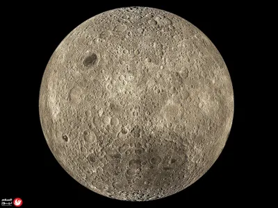 اخبار اليمن الان إصابة الاحتجاجات الفرنسية الشرطة المجهر اخبار اليمن الان الحدث اليوم عاجل