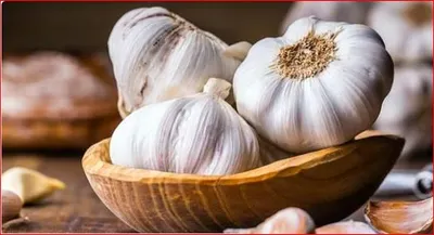 اخبار اليمن الان يساعد الثوم الدم استشاري يوضح اخبار اليمن الان الحدث اليوم عاجل