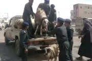 وكالة 2 ديسمبر اخبار اليمن الان الجبايات الحوثية أسواق الأضاحي والملابس اخبار اليمن الان الحدث اليوم عاجل وكالة 2 ديسمبر