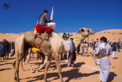 اخبار اليمن الان اختتام لمهرجان لسباقات وتتويج المطهري اخبار اليمن الان الحدث اليوم عاجل