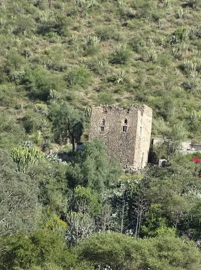 اخبار اليمن الان الأرصاد المرتفعات المزارعين الماشية والدواجن اخبار اليمن الان الحدث اليوم عاجل