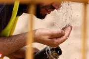 اخبار اليمن الان الحدث اليوم عاجل السلام نيوز