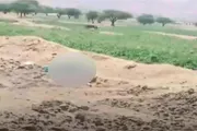عرب تايم اخبار اليمن الان اخبار وتقارير جريمة محافظة اليمنية اخبار اليمن الان الحدث اليوم عاجل عرب تايم