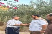 اخبار اليمن الان الحدث اليوم عاجل صدى الساحل