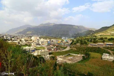 اخبار اليمن الان الحدث اليوم عاجل 