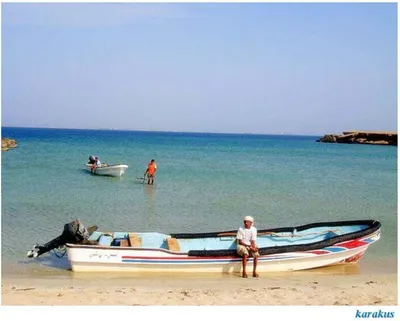 اخبار اليمن الان مصير مجهول لشقيقين صيادي يومين اخبار اليمن الان الحدث اليوم عاجل