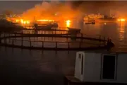 اخبار اليمن الان الحدث اليوم عاجل فرانس 24