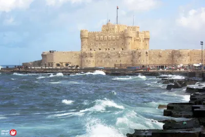 اخبار اليمن الان أمازون الجدل عملياتنا الإقليمية الإمارات اخبار اليمن الان الحدث اليوم عاجل