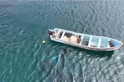 صدى الساحل اخبار اليمن الان القوات البحرية السواحل زورقين ومأهولين اخبار اليمن الان الحدث اليوم عاجل صدى الساحل