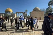 وكالة الصحافة اليمنية اخبار اليمن الان عشرات الصهاينة يدنسون الأقصى الشريف اخبار اليمن الان الحدث اليوم عاجل وكالة الصحافة اليمنية