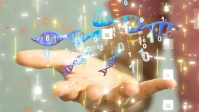 اخبار اليمن الان قراصنة الإنترنت يطاردون النووي الجينات اخبار اليمن الان الحدث اليوم عاجل