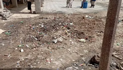 اخبار اليمن الان يحدث واسعة لتنظيف الأسماك البريقة اخبار اليمن الان الحدث اليوم عاجل