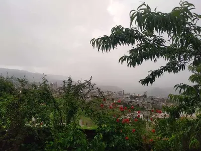 اخبار اليمن الان حالة الطقس السبت المدن اليمنية اخبار اليمن الان الحدث اليوم عاجل