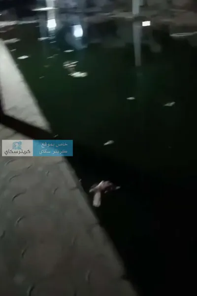 اخبار اليمن الان كارثة بيئية بعدن اخبار اليمن الان الحدث اليوم عاجل